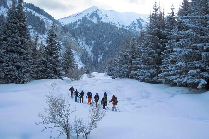 1-day Backcountry Tour - Key points at a glance