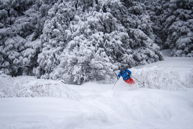 1-day Backcountry Tour - What a one-day route can include