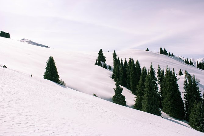 1-day Backcountry Tour - A good bridge from piste skiing to backcountry riding