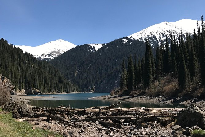 2 Days Private Kolsai and Kaindy Tour - What the private guide adds