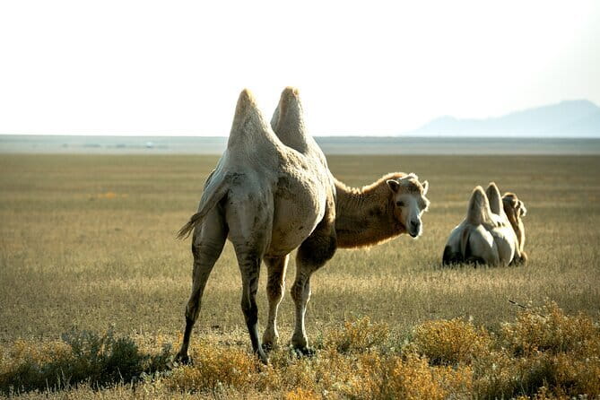 2 Days Private Kolsai Kaindy Lakes with Charyn Canyon Tour - What the 445.60 USD price includes