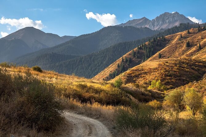 2 Days Tour: Charyn Canyon, Kaindy & Kolsay Lakes - Kaindy Lake and the famous sunken trees