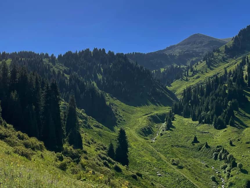 Almaty: Advanced Hiking - Four Peaks Hike - Four peaks and one long mountain day