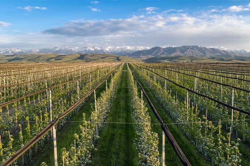 Almaty City: Big Almaty Lake Roundtrip Transfer and Tour - Apple orchard, waterfall, and gorge side stops