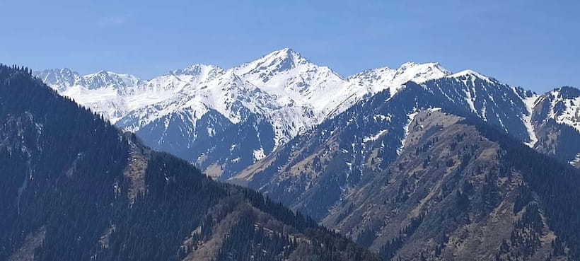 Almaty: Falconry show and Big Almaty Gorge - A practical look at the schedule