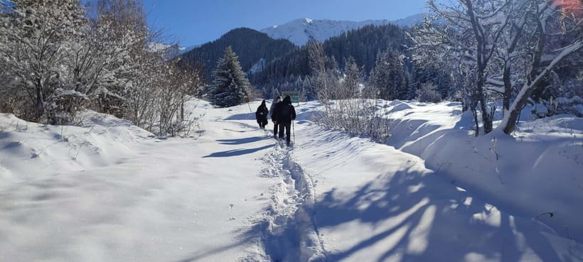 Almaty: Hiking to the High Mountain Pasture Kok Zhailau - What is included for $144
