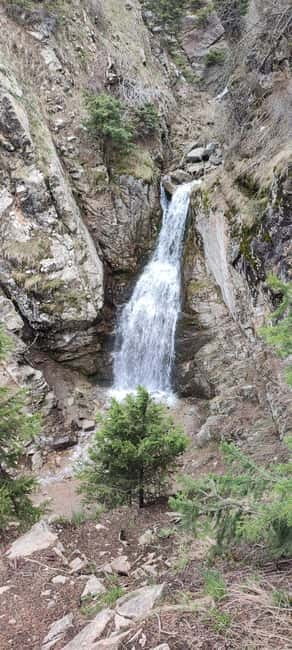 Almaty: Hiking to the High Mountain Pasture Kok Zhailau - Who will enjoy Kok Zhailau most