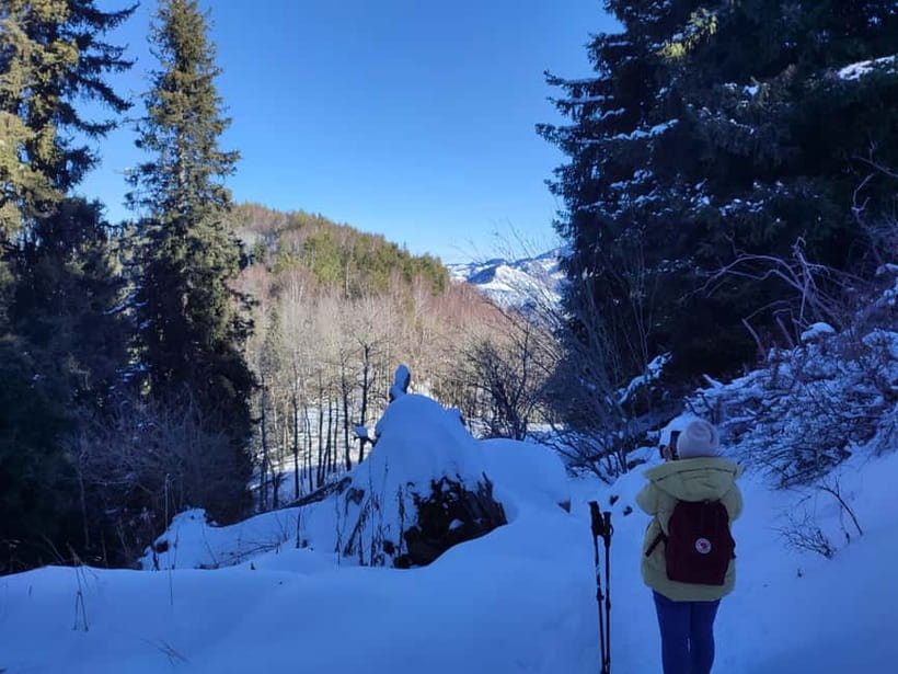 Almaty: Hiking to the High Mountain Pasture Kok Zhailau - Should you book this mountain day?