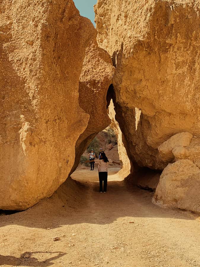 Almaty: Kolsay & Kaindy Lakes, Charyn Canyon Private Tour - Black Canyon, a short stop with a sharp change of color