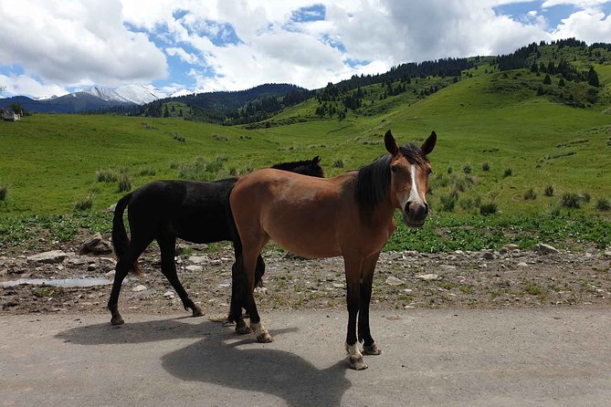 Almaty Region 3 Days Tour from Almaty - The guide can shape the whole trip