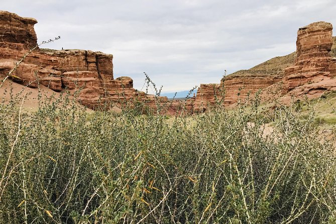 Almaty Region 5 Days Private Tour from Almaty - Day 1: Altyn-Emel, ancient seabed and volcanic rock
