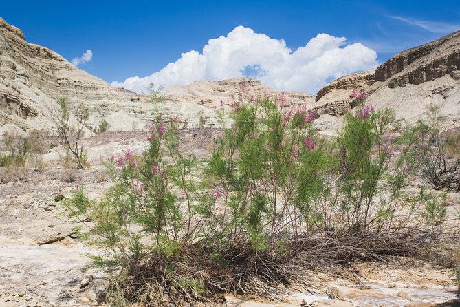 Altyn Emel. Singing dune and Aktau mountains 2 days tour - Why this two-day Altyn Emel trip is worth your time