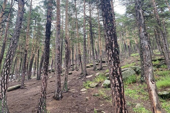 Astana: Burabay Oasis National Park Unforgettable Adventure - BolekTau Mountain and the first big view