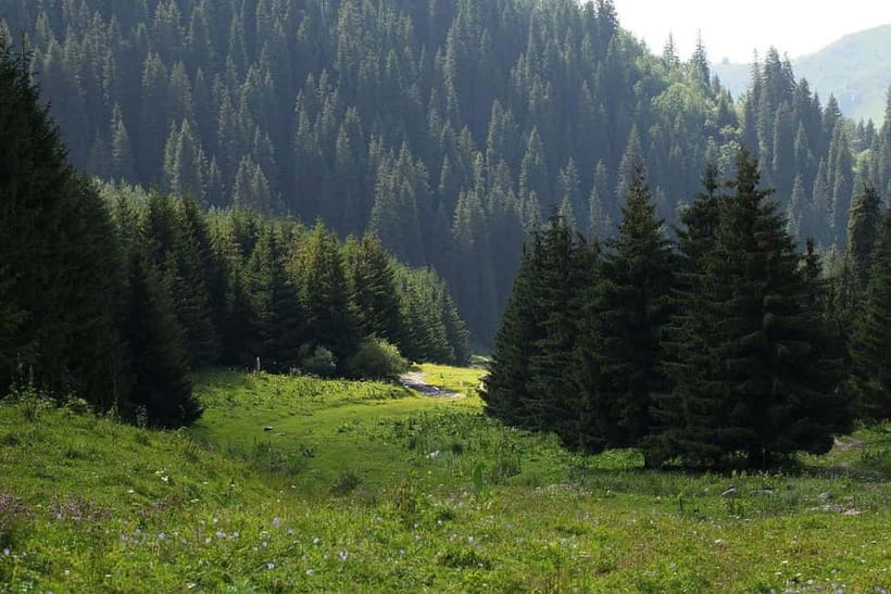 "Butakovka Waterfall" - a half day tour - Key points to know before you book