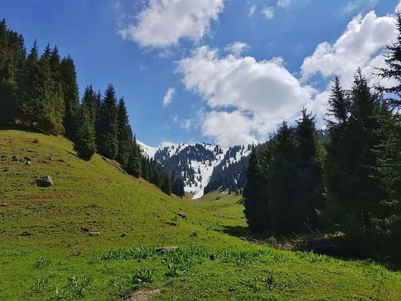 "Butakovka Waterfall" - a half day tour - The first forest paths