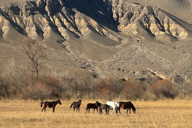 Charyn Canyon and Black Canyon 1 Day Private Tour - Kazakh Lunch in a Rural Village