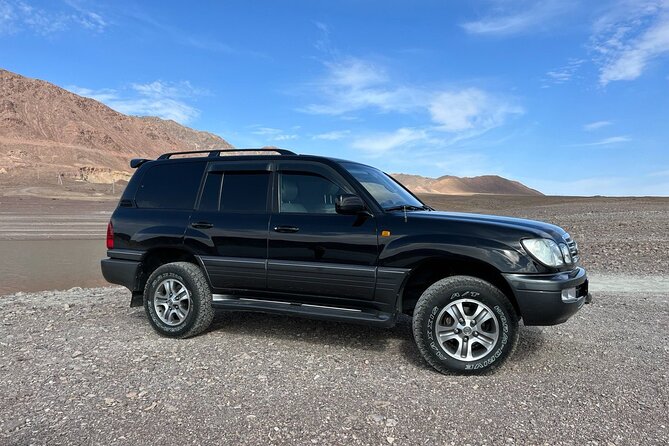 Charyn Canyon Valley of Castles 1 Day tour - The road market in Baiseiyt