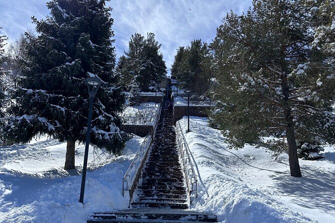 Group: Medeu, Shymbulak, Cathedral, 28's park, Market, Koktobe - Shymbulak cable cars and Tien Shan views
