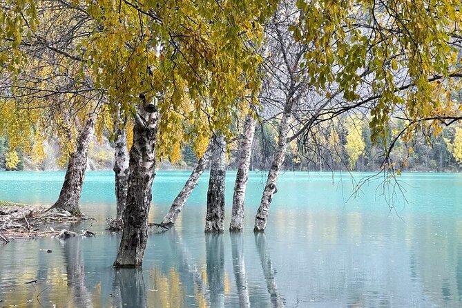Lake Issyk with Turgen (Bear) Waterfall tour - Why the Ile-Alatau National Park setting matters