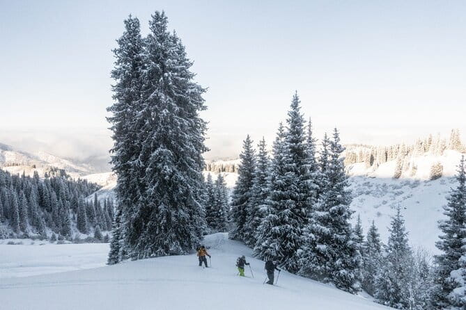 One Day Ski Tour Near Almaty - Safety equipment and the real cost of the day