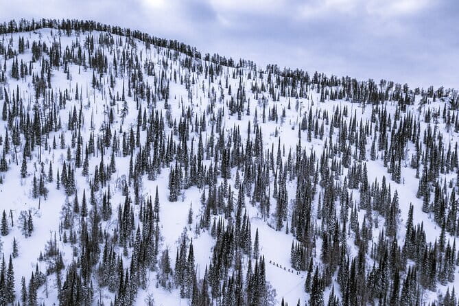 One Day Ski Tour Near Almaty - What the ridge itinerary actually involves
