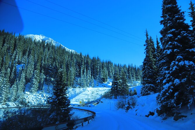 Private Big Almaty Lake Hiking Tour with alternatgive Pipeline - The guide can shape the day