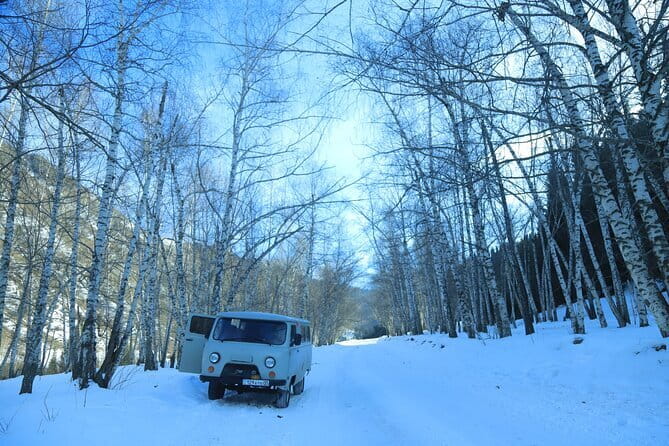 Private Charyn Canyon, Kolsai Lake with Optional Kaindy Lake tour - Transport, food, and the real cost of the day