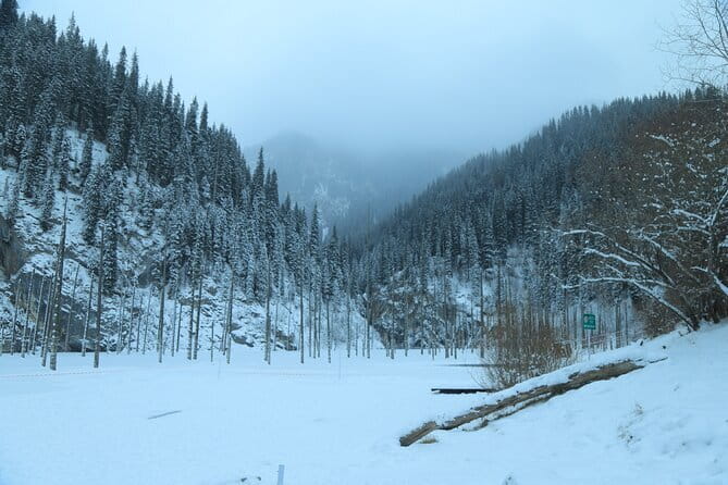 Private Charyn Canyon, Kolsai Lake with Optional Kaindy Lake tour - Kolsai Lake: the cool, quiet opening