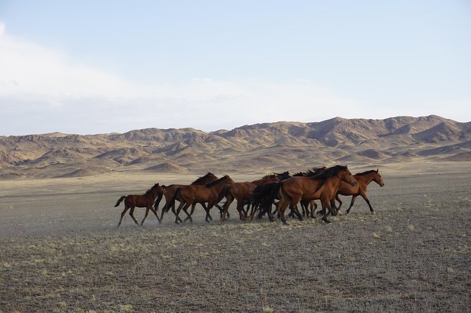 Private tour Almaty Region 3 days with Silktravel - Day two: the Singing Dune and Charyn Canyon
