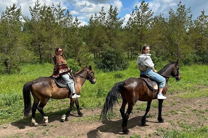 Private Yurt Tour with Horses: Immerse into Kazakh Culture - Inside the yurt at BalQaragai