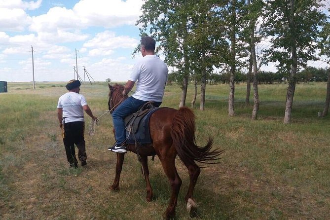 Trip to Kazakh family of Eagle hunters in Astana (6 hours) - The Berkut tradition and one important question
